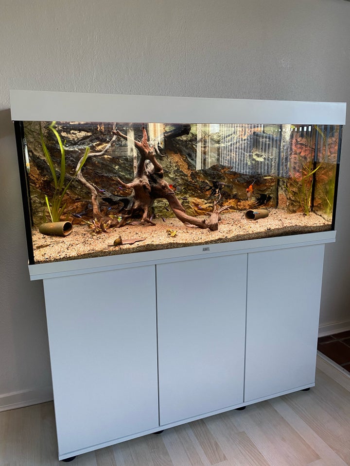 Akvarium, 240 liter, b: 120 d: 40 h: