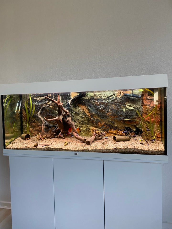 Akvarium, 240 liter, b: 120 d: 40 h: