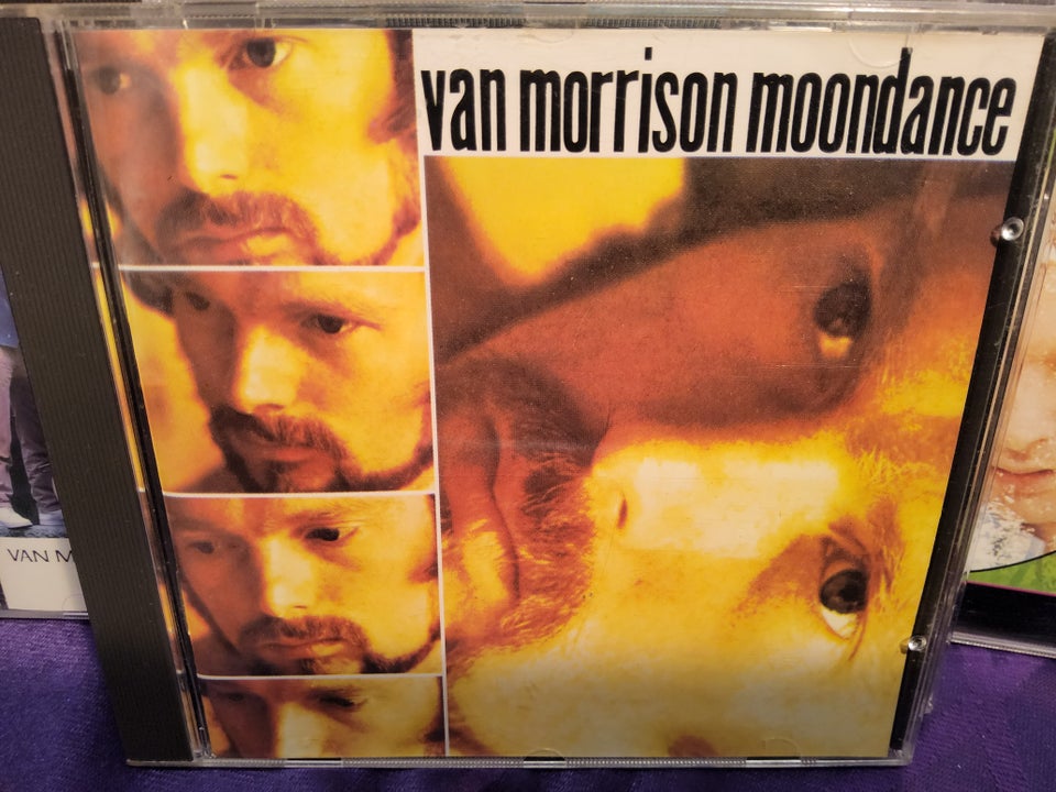 VAN MORRISON: 5 STYKS AF DE BEDSTE,