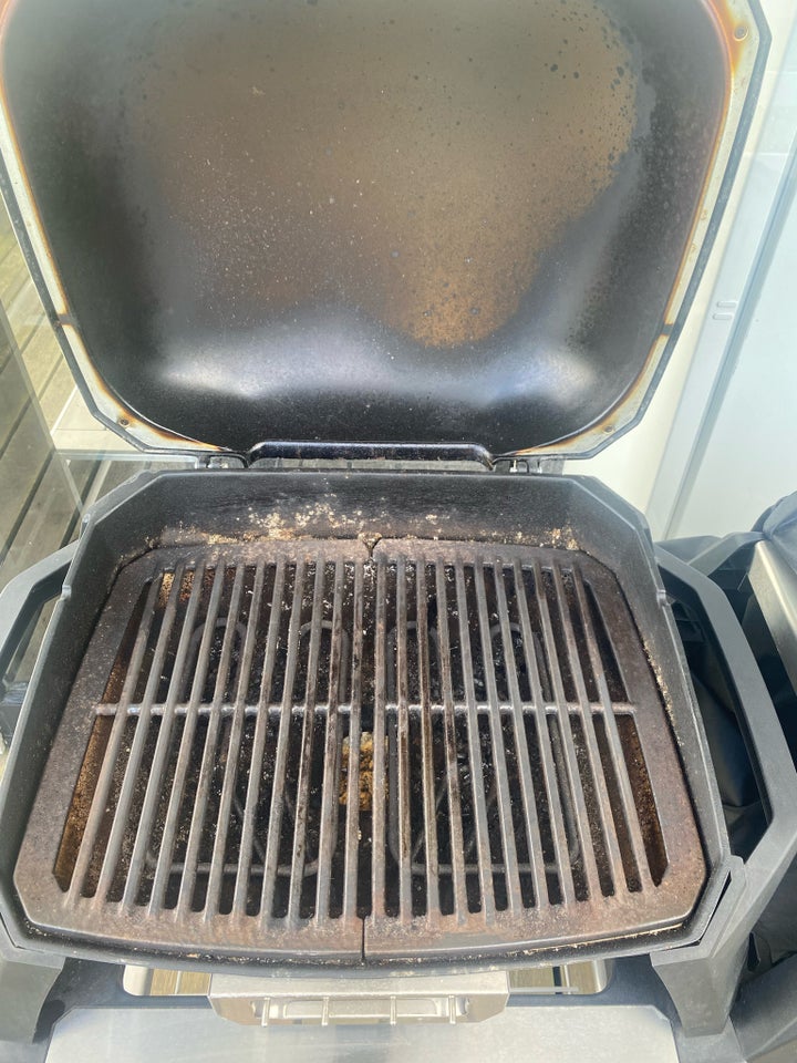 Elgrill Weber Elgril Pulse 2000