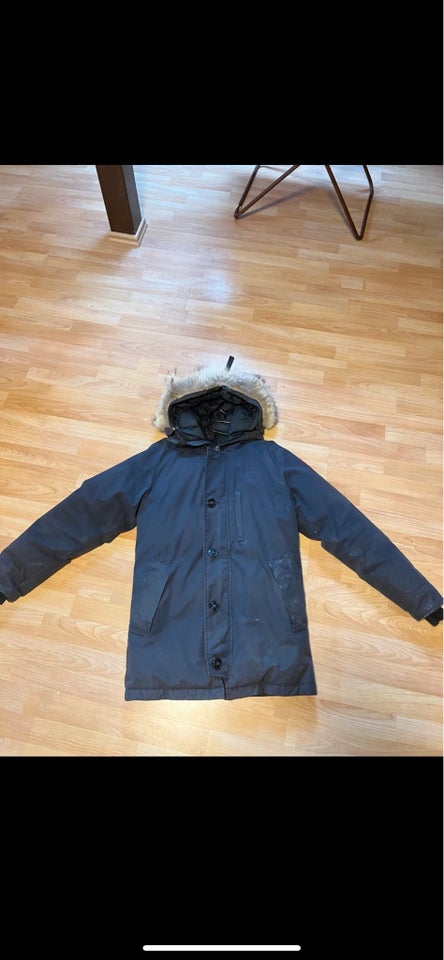 Frakke, str. L, Canada goose