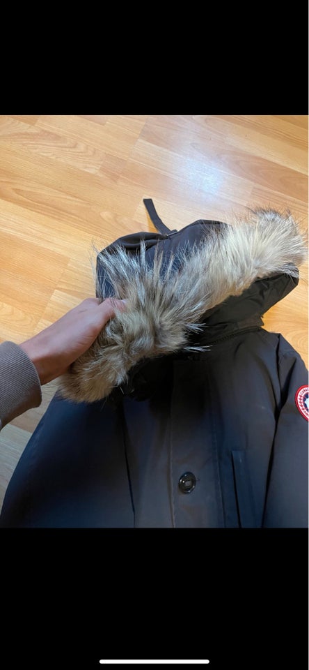 Frakke, str. L, Canada goose