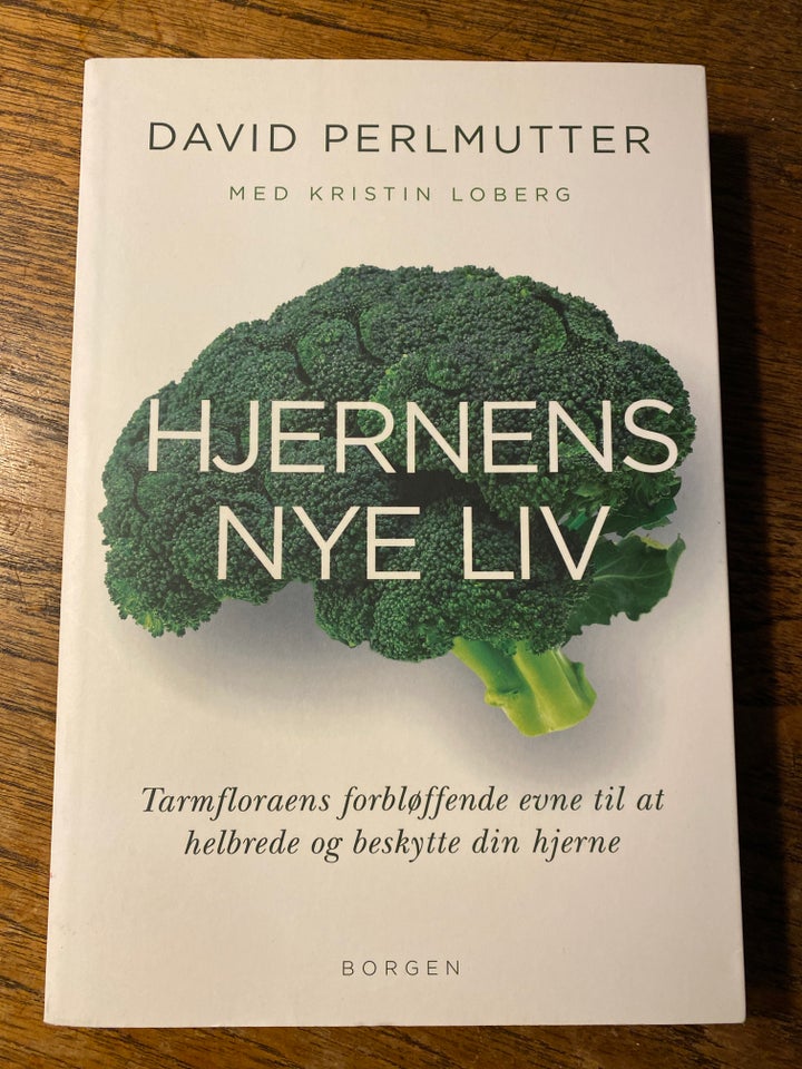 Hjernens nye liv , David