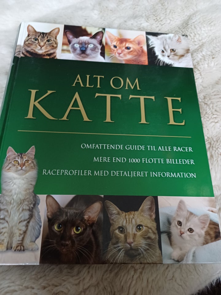 Alt om katte Candida