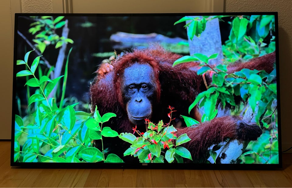 Philips, 4K, 65"