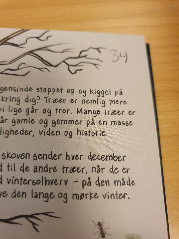 Samlekort Valdes jul - Skovens