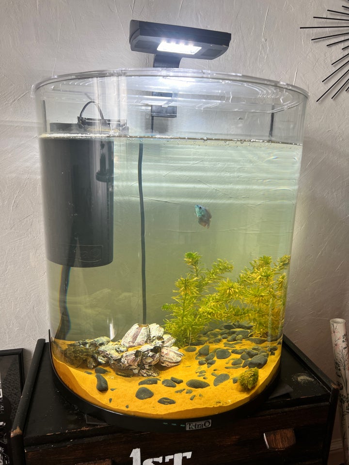 Akvarium 60 liter