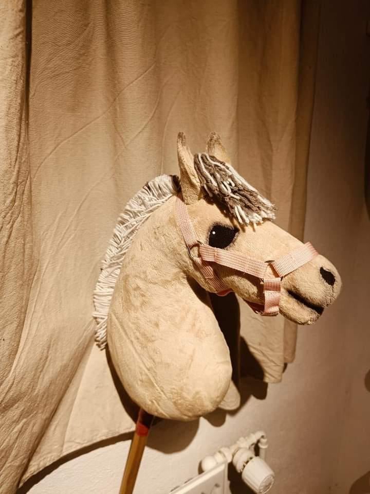 Kæphest Hobby horse Stald hegnet