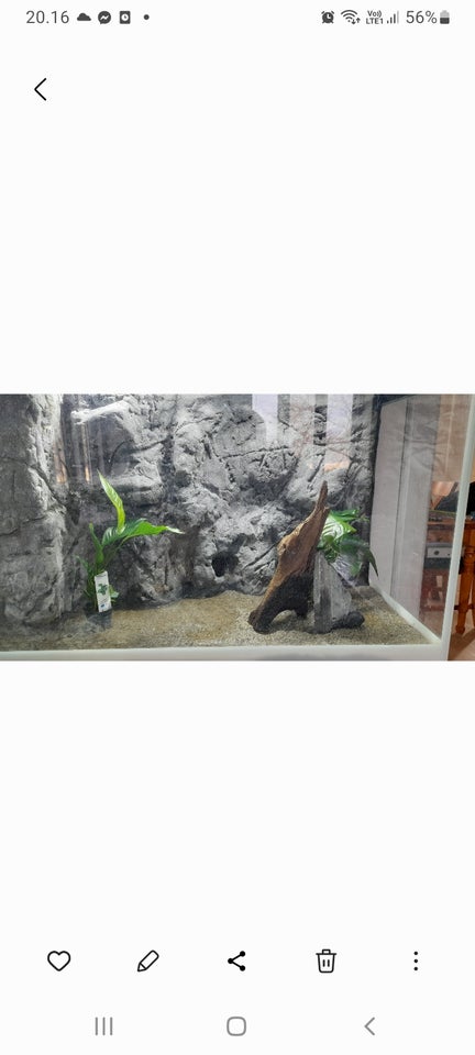 Akvarium, 125 liter, b: 80 d: 35 h: 54