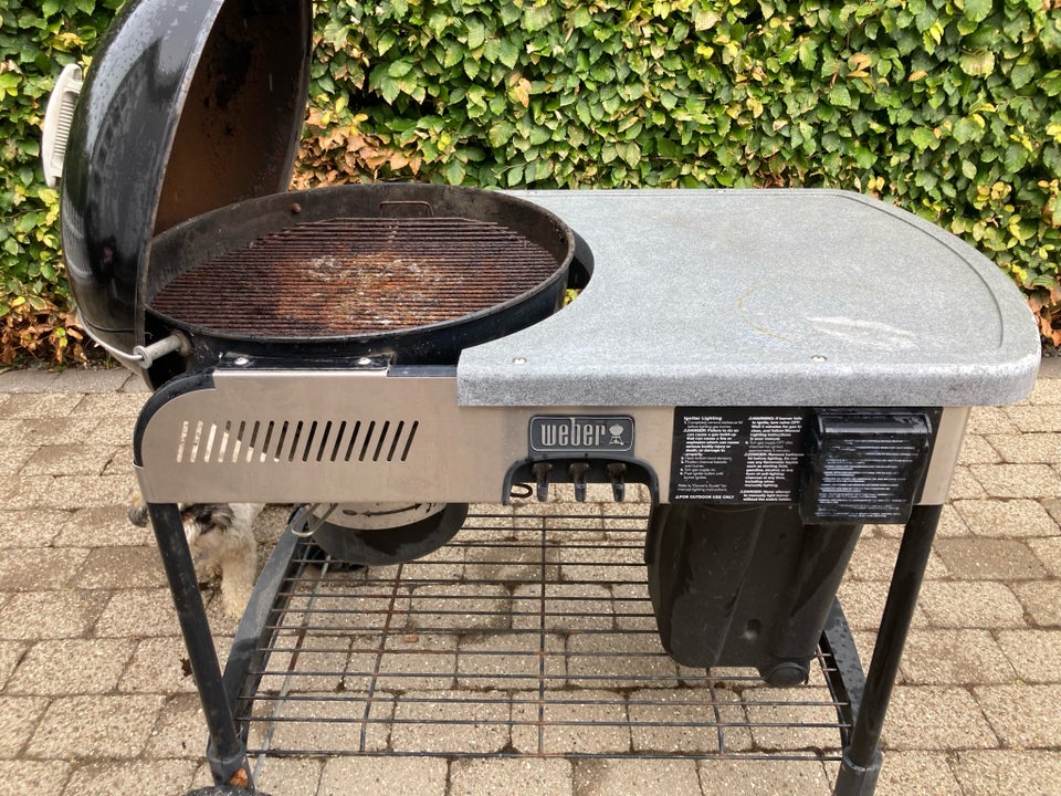 Kuglegrill WEBER Performance