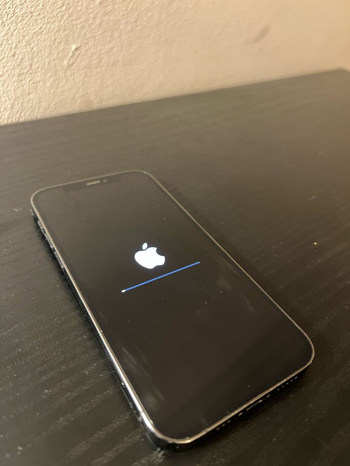 iPhone 12 Pro 256 GB grå