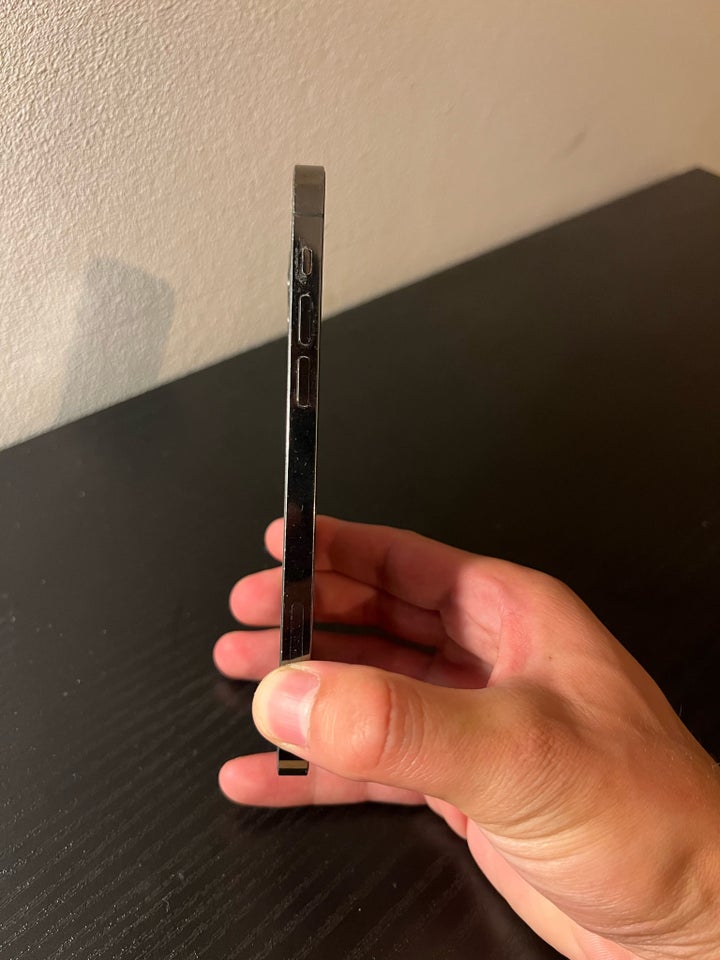 iPhone 12 Pro 256 GB grå