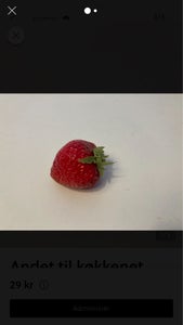Andet Stort Retro jordbær