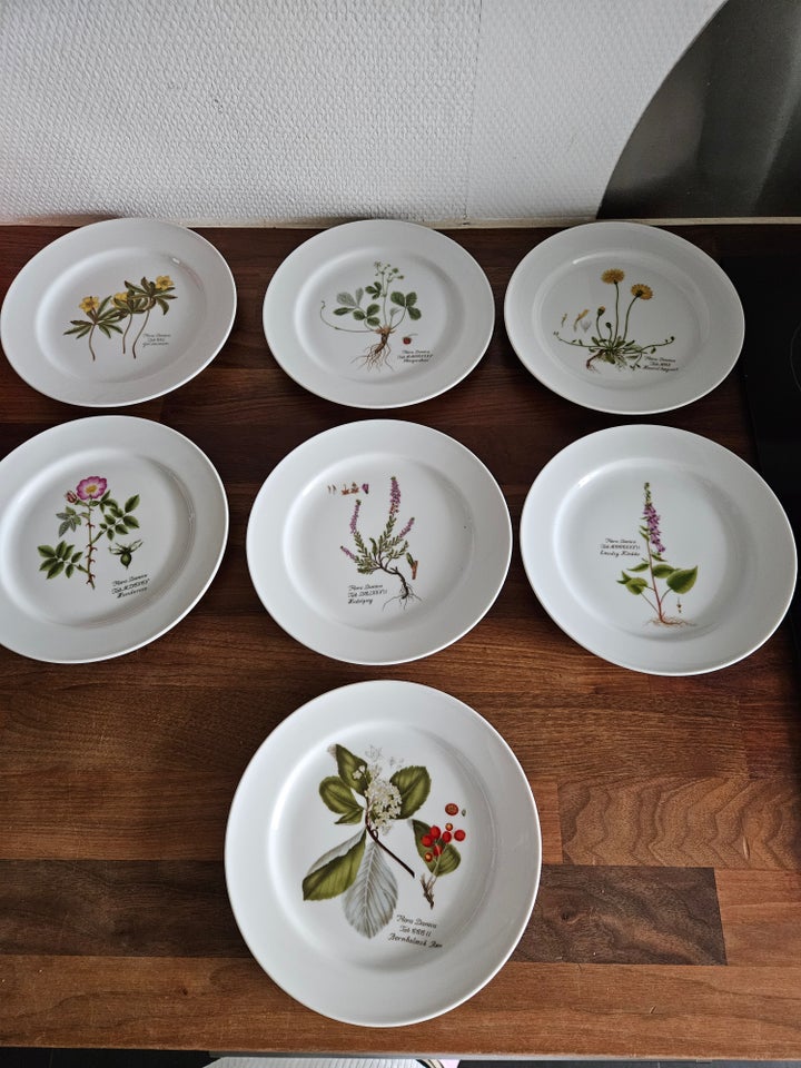 Platter, Flore Danica platter