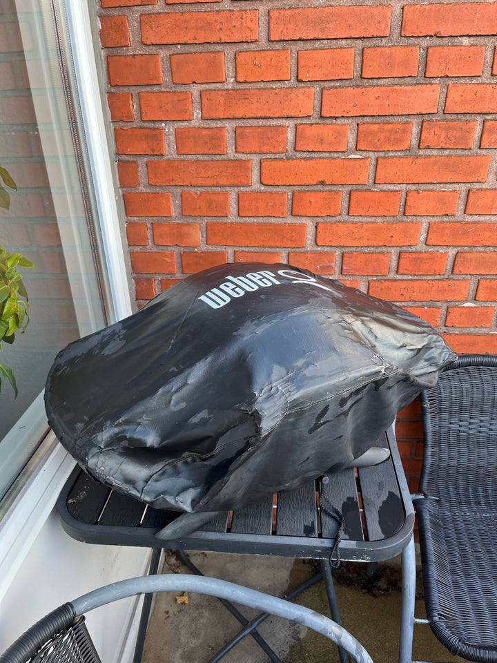 Gasgrill Weber