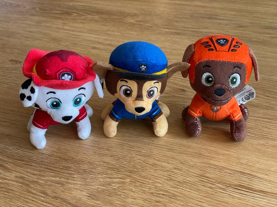 5 Paw Patrol