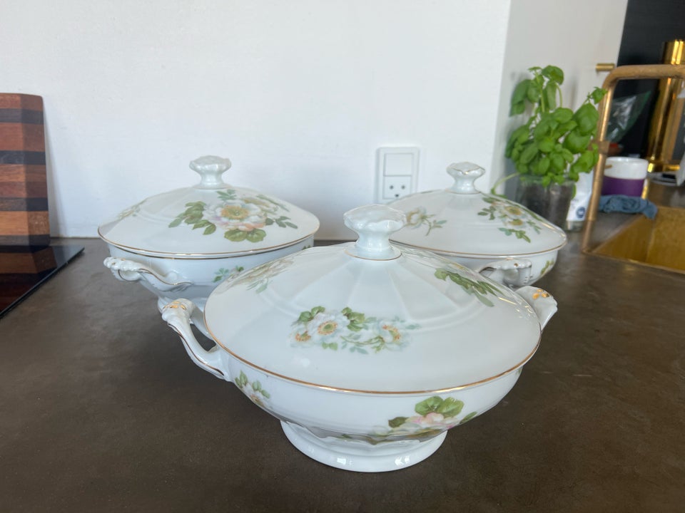 Porcelæn Spisestel  CT Altwasser