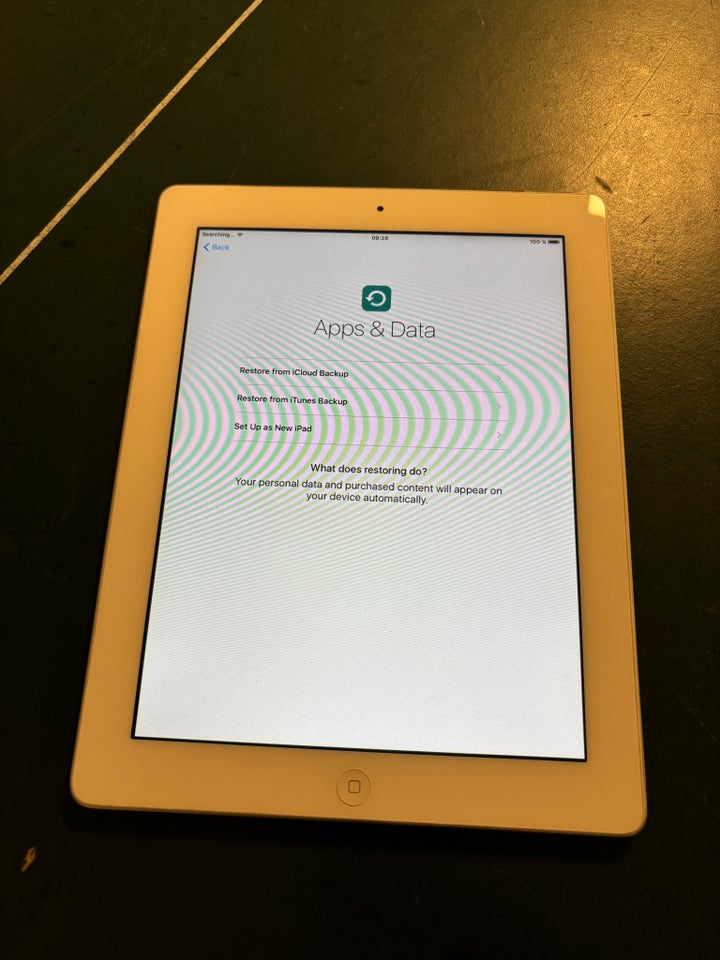 iPad 2 64 GB hvid