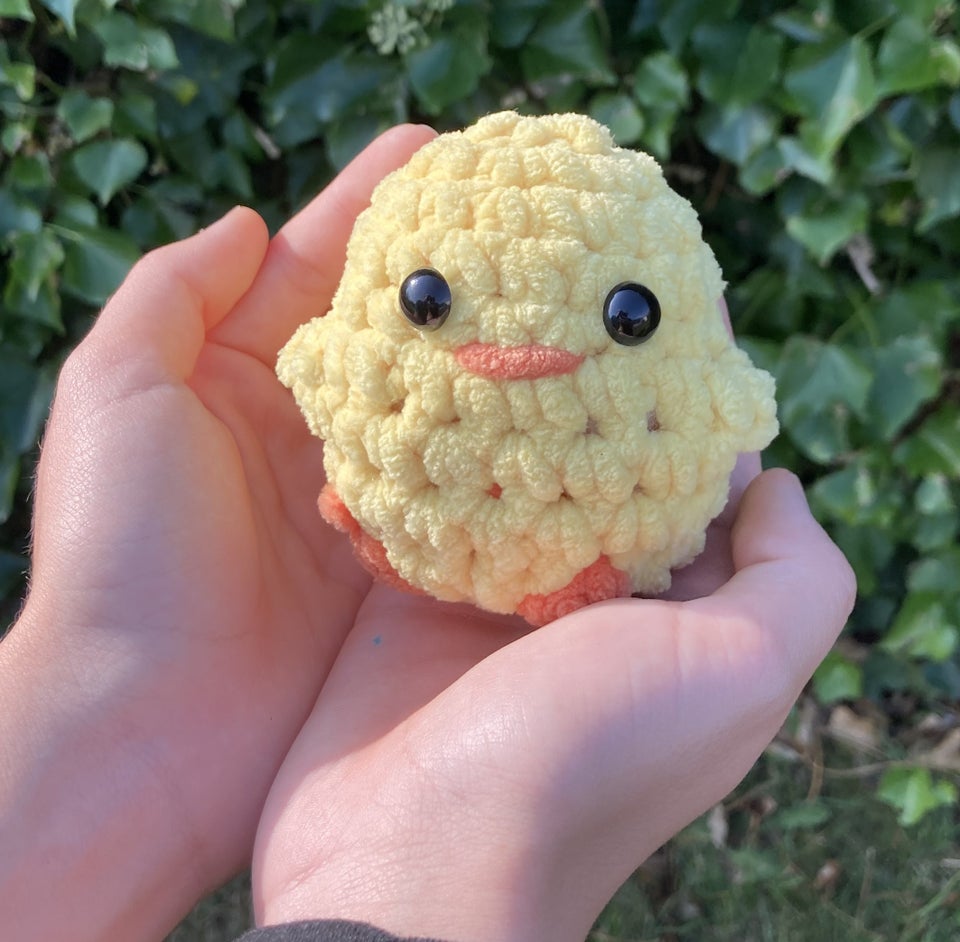 Cute handmade Chicken