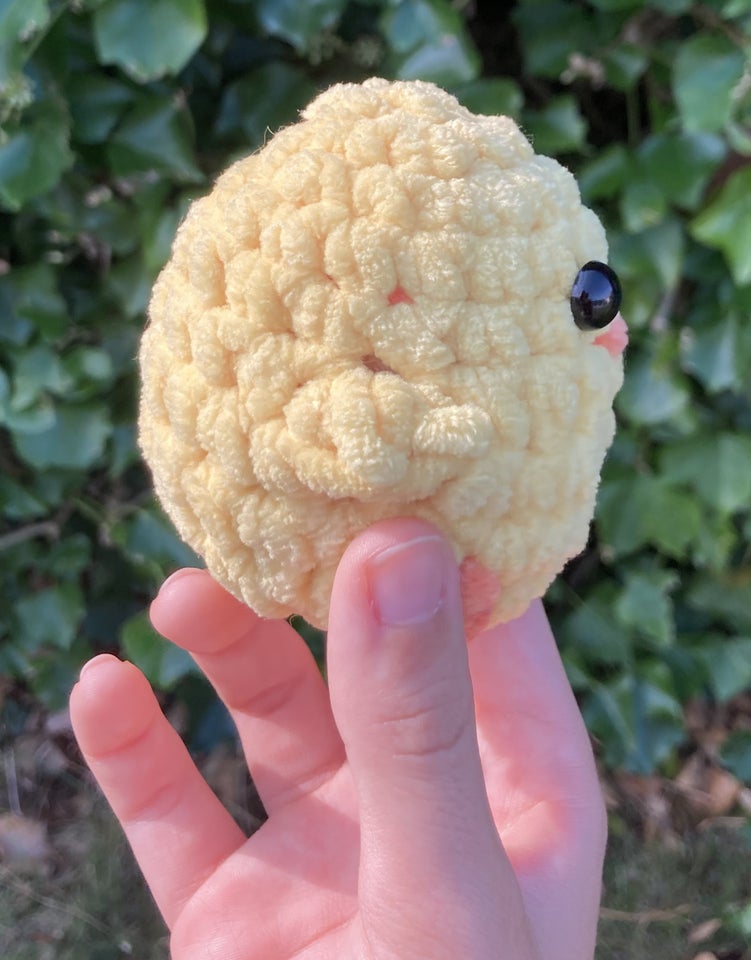 Cute handmade Chicken