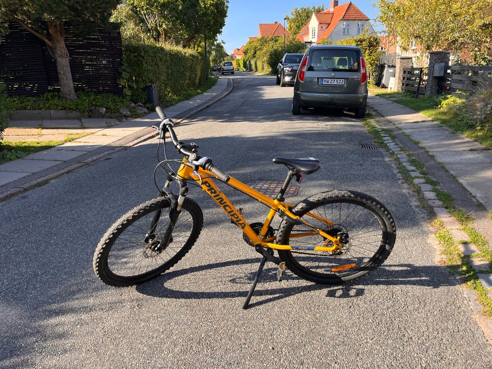 Unisex børnecykel mountainbike