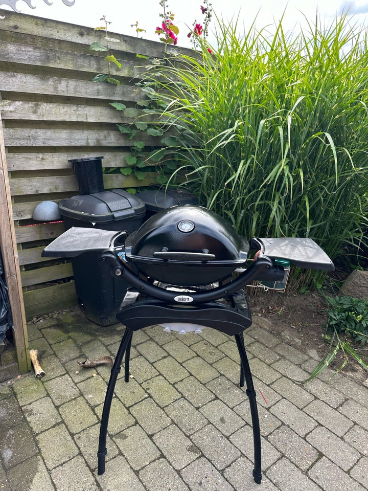 Gasgrill Weber Q1200 Gasgrill