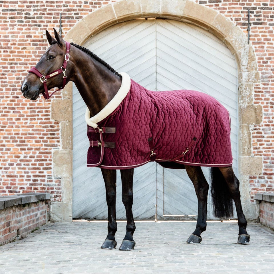 Dækken Kentucky Show rug