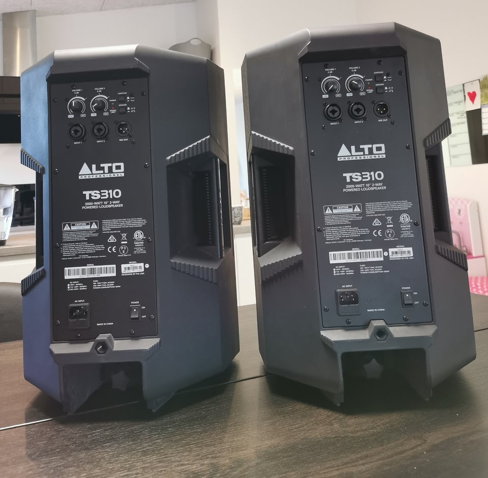 2 x ALTO TS310 Professional