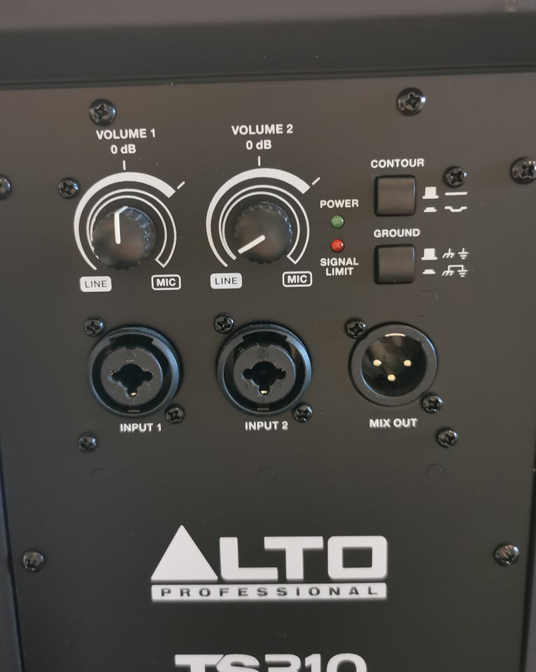 2 x ALTO TS310 Professional