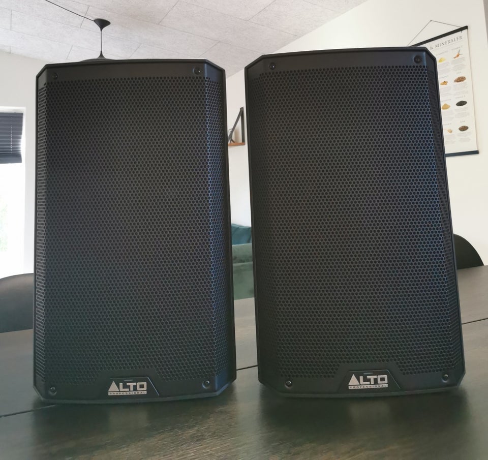 2 x ALTO TS310 Professional