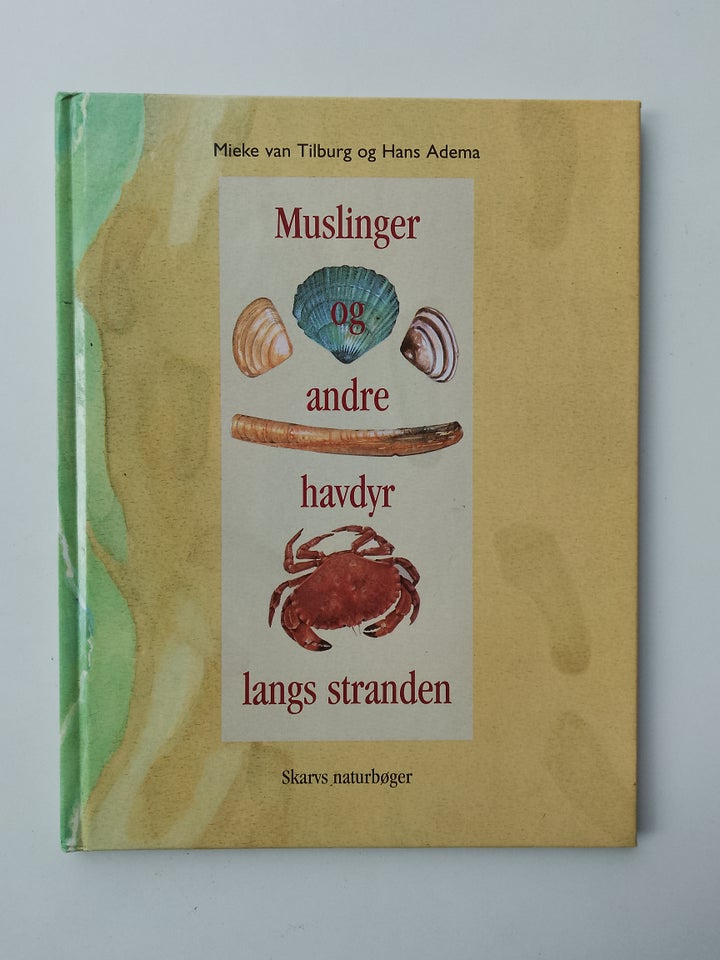 Muslinger og andre havdyr langs