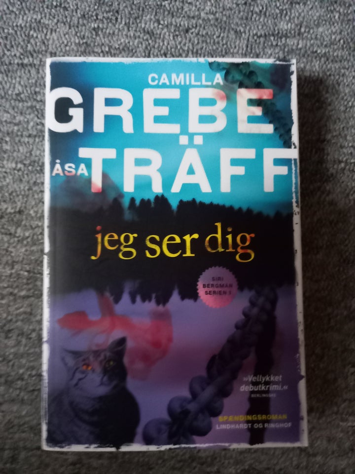 Jeg ser dig, Camilla Grebe - Åsa