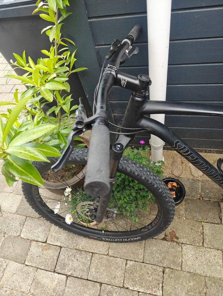 Specialized Rockhopper Pro 1x