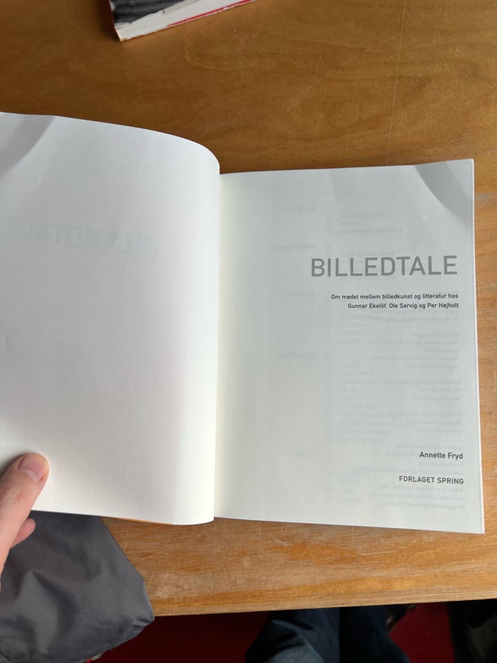 Billedtale , Annette Fryd, emne: