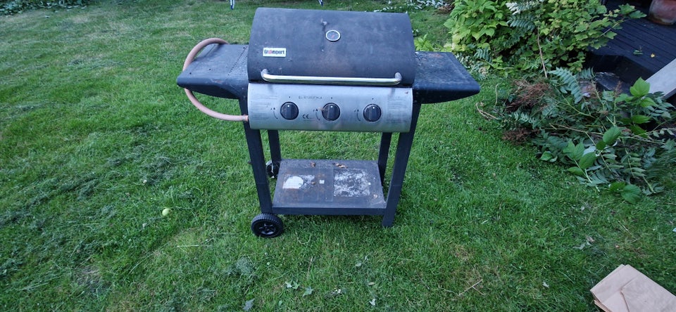 Gasgrill Grillexpert