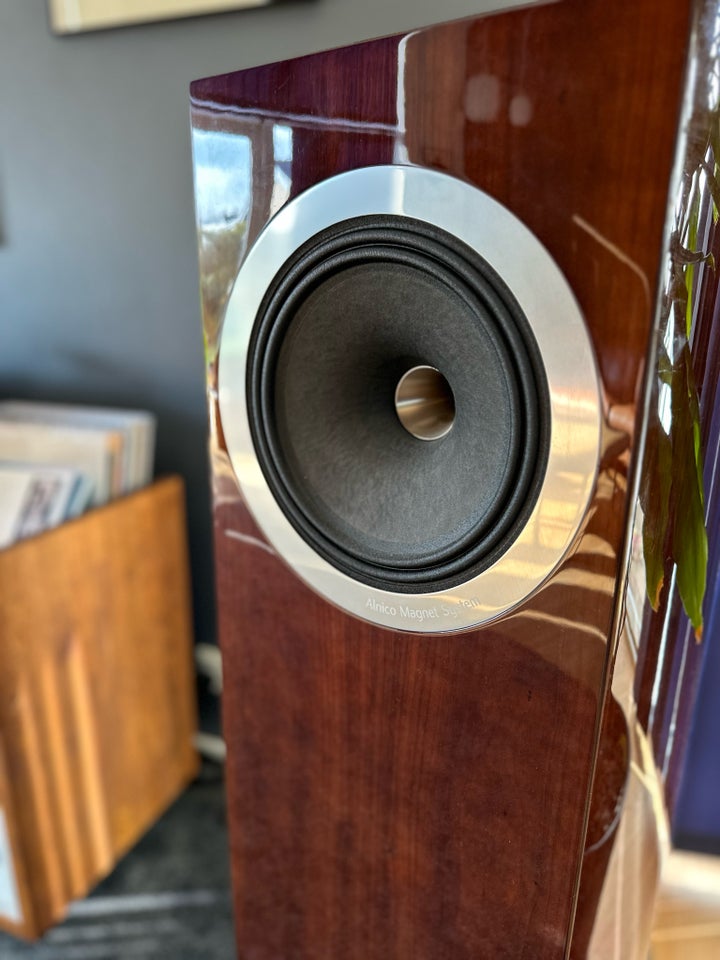 Højttaler, Tannoy, Tannoy dc 10a