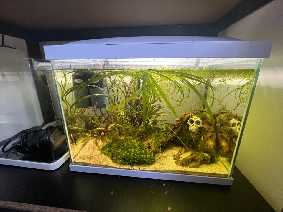 Akvarium 50 liter