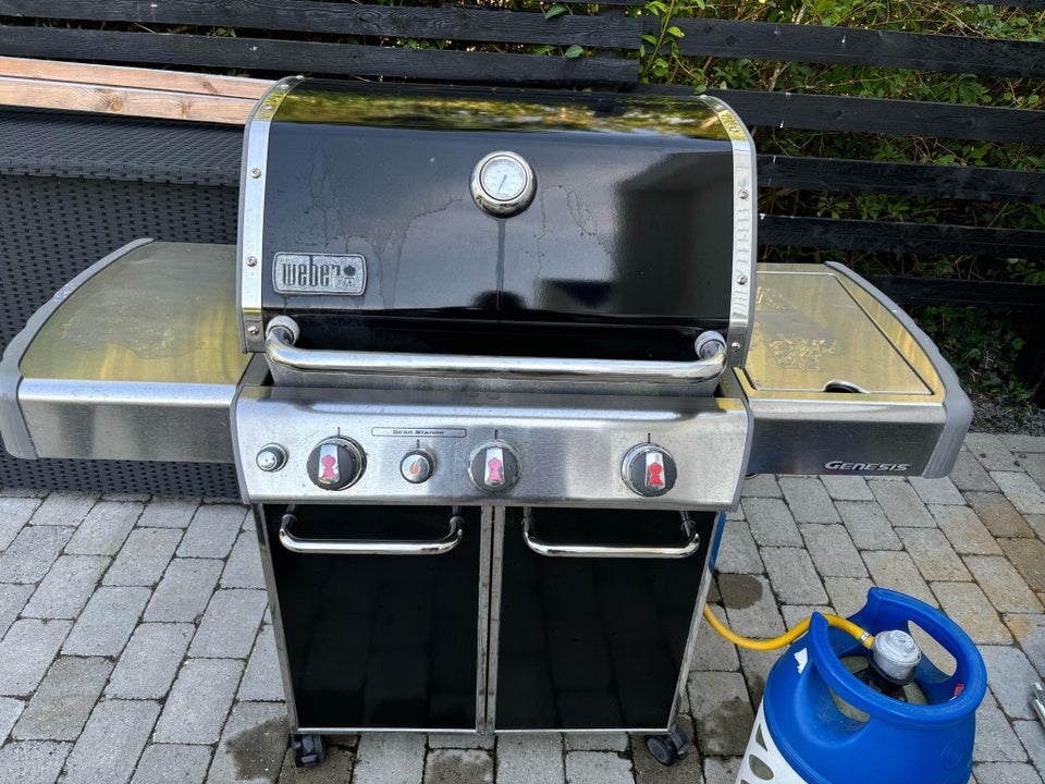 Gasgrill Weber