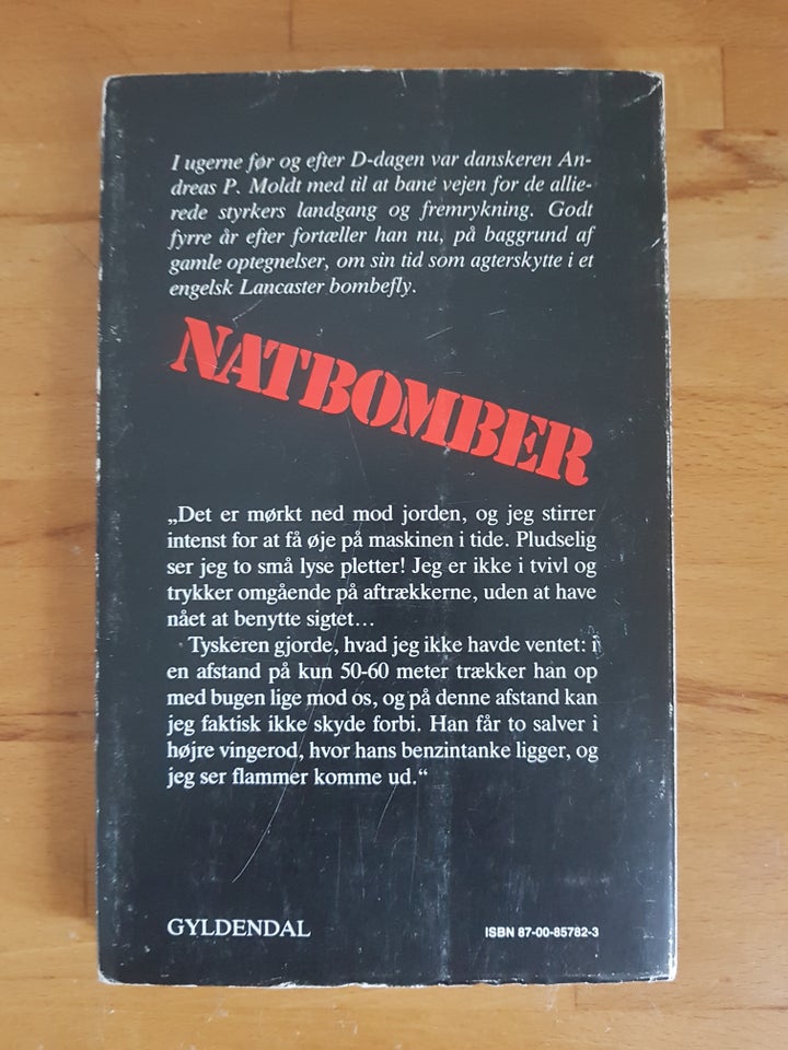 Natbomber, Andreas P. Moldt, emne: