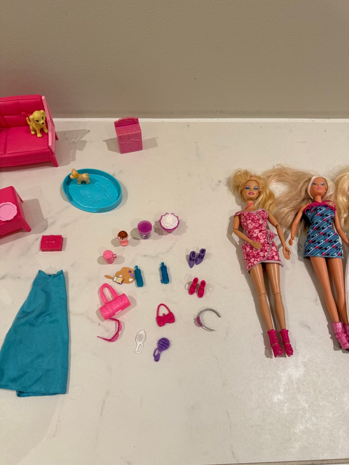 Barbie, Barbiedukker og diverse