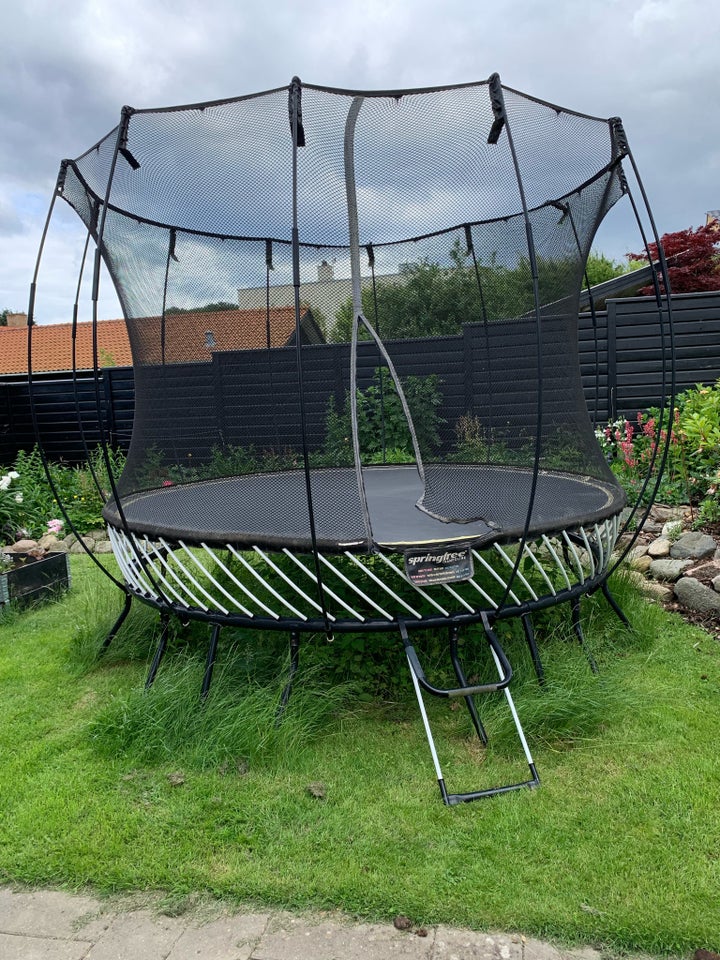 Trampolin Springfree R79