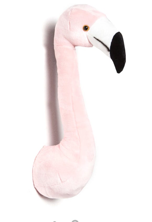 Dyretrofæhoved, Flamingo,