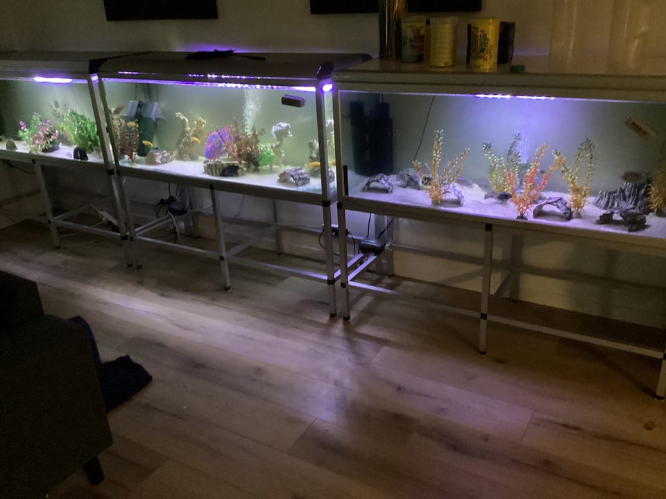 Akvarium, 325 liter, b: 130 d: 50 h: