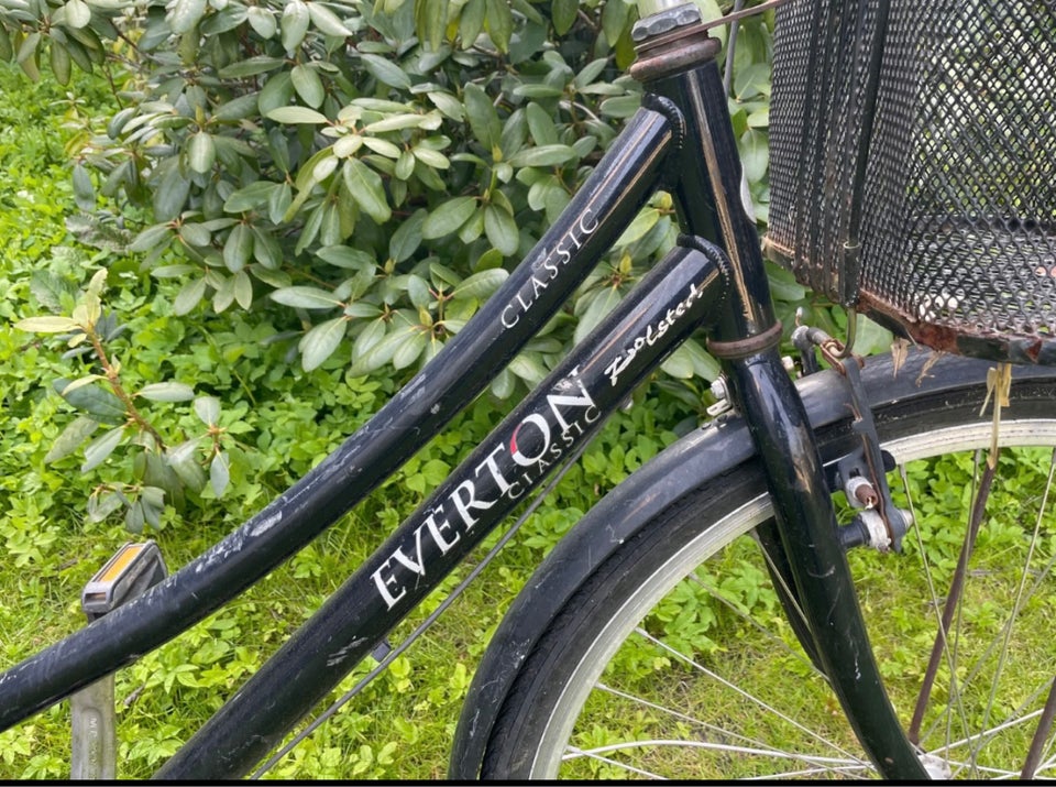 Damecykel Everton Citybike