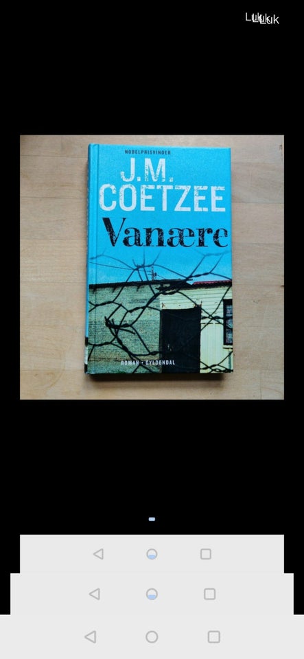 Vanære, J. M. Coetzee, genre: roman