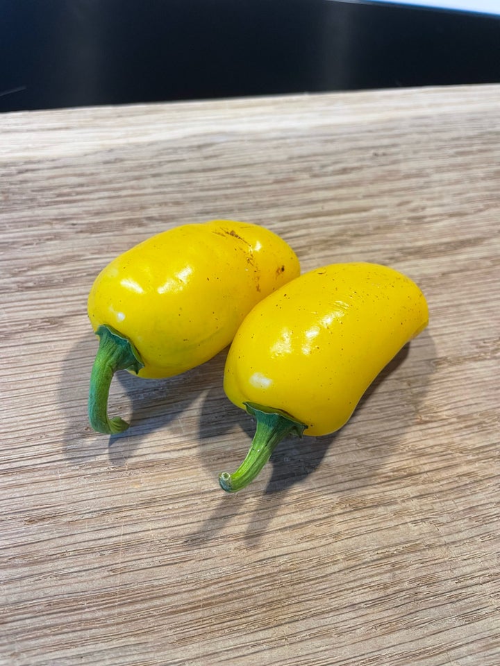 ChiliFrø, Lemon Jalapéno