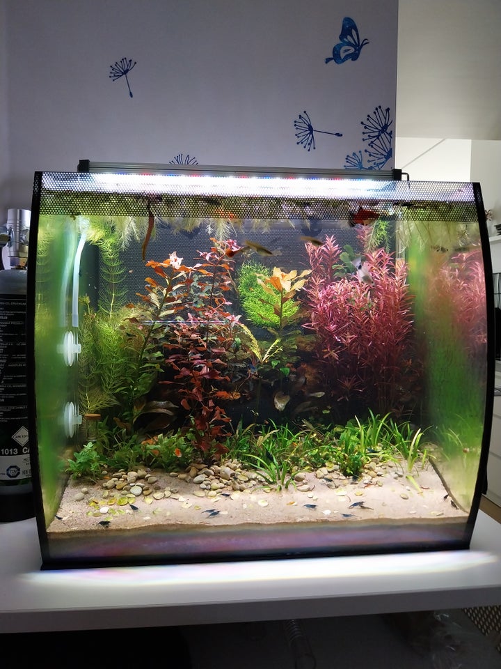 Akvarium 57 liter