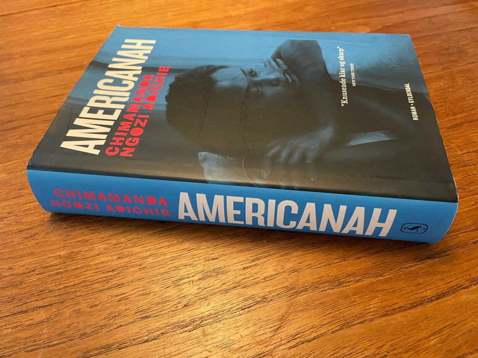 Americanah, Chimamanda Ngozi