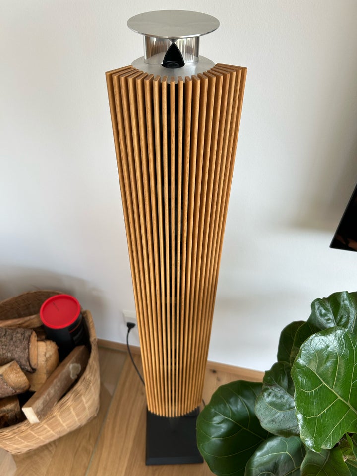 Højttaler, Bang  Olufsen, Beolab