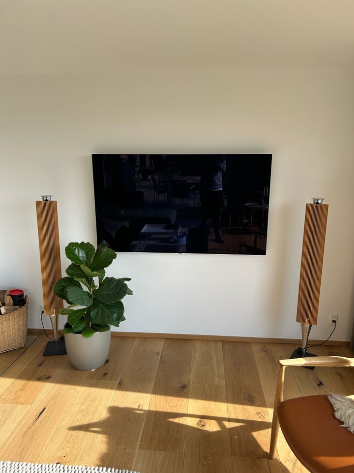 Højttaler, Bang  Olufsen, Beolab